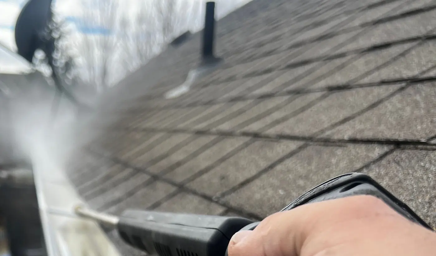 Gutter cleaning